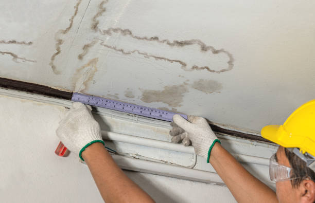 Affordable Water Damage Repair solutions in Eagle, MI